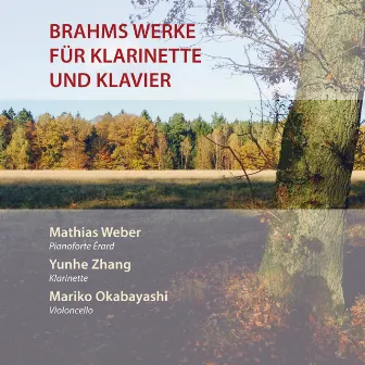 Brahms' Werke für Klarinette und Pianoforte by Mathias Weber