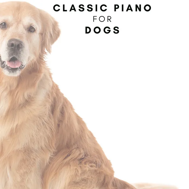 Classic Piano for Dogs