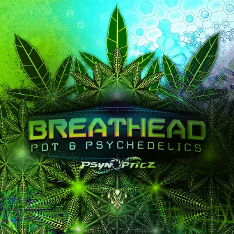 Pot & Psychedelics by Breathead