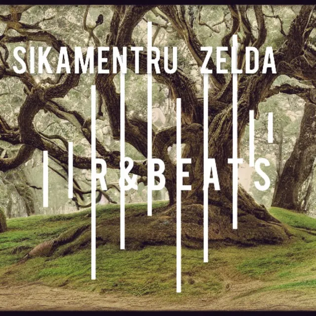 Sikamentru Zelda