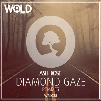 Diamond Gaze Remixes by Asli Kose