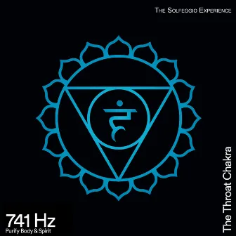 741 Hz Purify Body & Spirit (The Throat Chakra) by The Solfeggio Experience