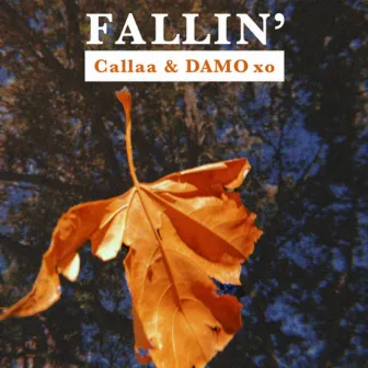 FALLIN by Callaa