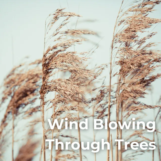 Heavy Metal Signs in the Wind