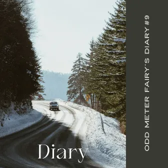 Diary #9 by Odd Meter Fairy