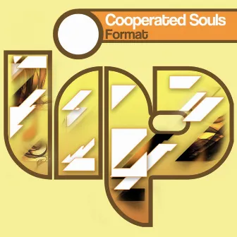 Format by Cooperated Souls