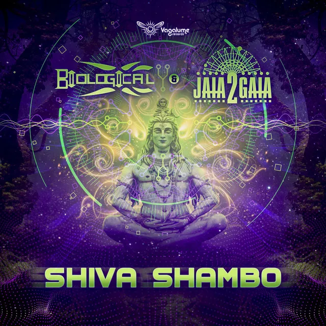 Shiva Shambo