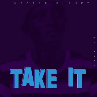 Take It by Ayo King