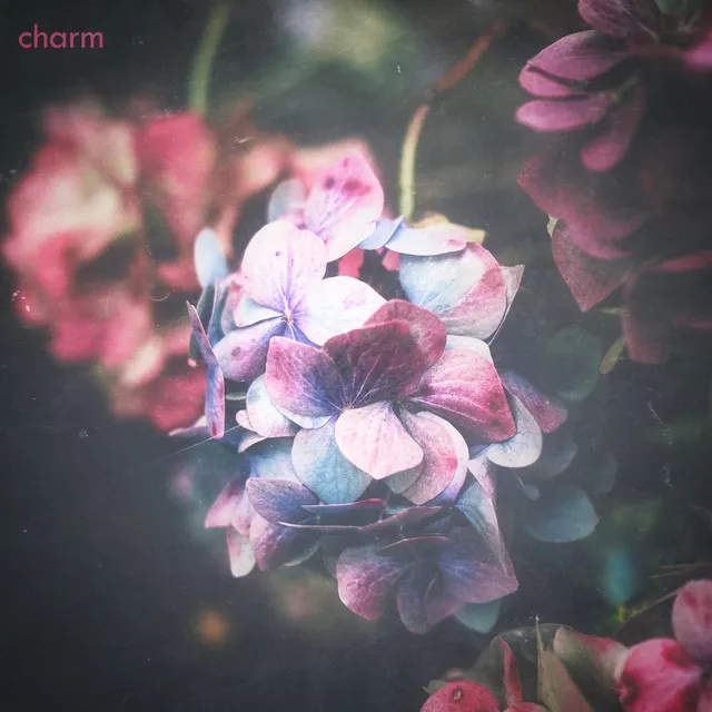 Charm