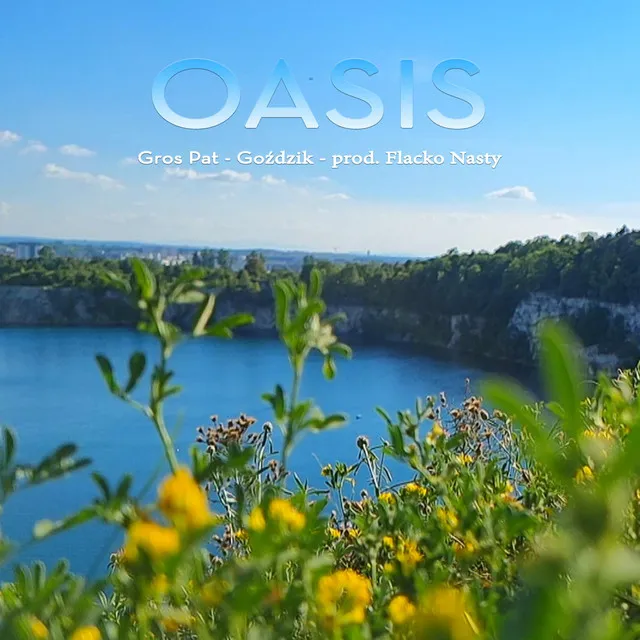 Oasis