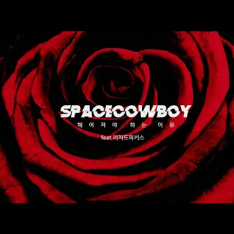 Reason by Space Cowboy