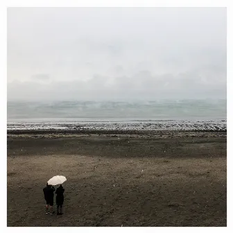 Musical Priest / Toss the Feathers / Lucy Campbell's by Casey Driessen