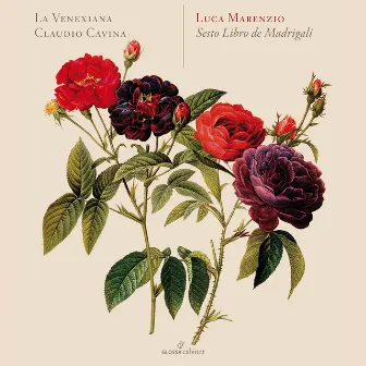 Marenzio: Madrigali á 5 voci, Libro 6 by La Venexiana