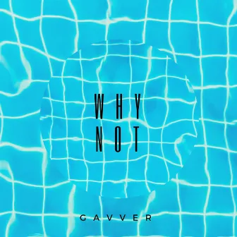 Why Not - EP by Gavver