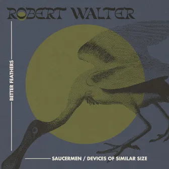 Saucermen / Devices of Similar Size by Robert Walter