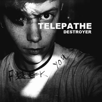 Destroyer by Telepathe