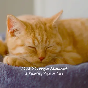 Cats' Peaceful Slumber: A Thundery Night of Rain by Cat Relaxation