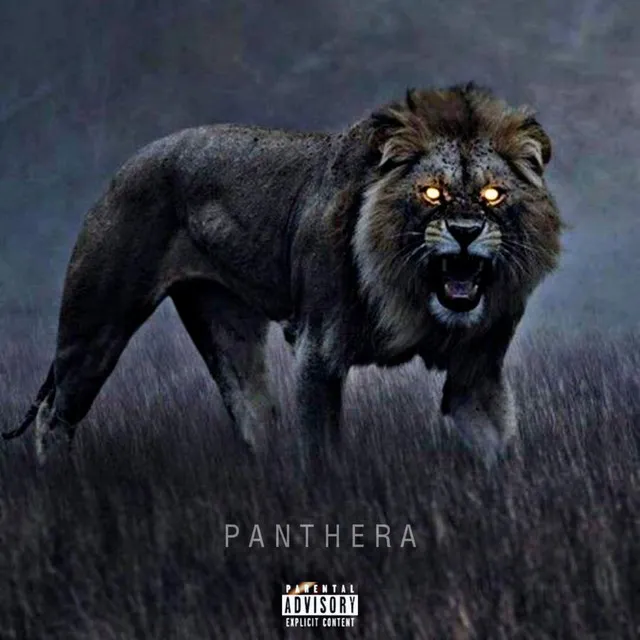 Panthera