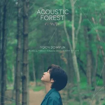 The Acoustic Forest by Yoon Do Hyun