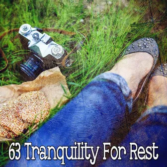 63 Tranquility For Rest by The Praise Baby Collection