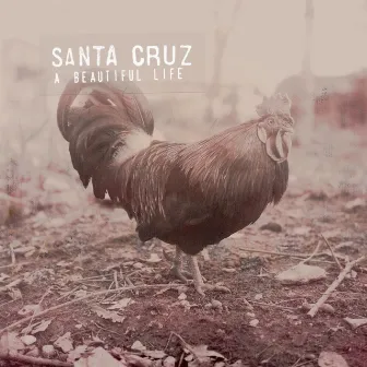 A beautiful life by Santa Cruz