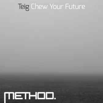 Chew Your Future EP by Teig