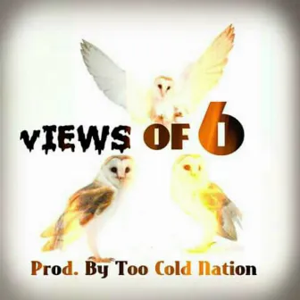 Views Of Six by Too Cold Nation