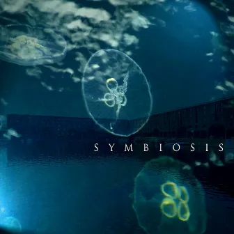 Symbiosis by Richard Harding