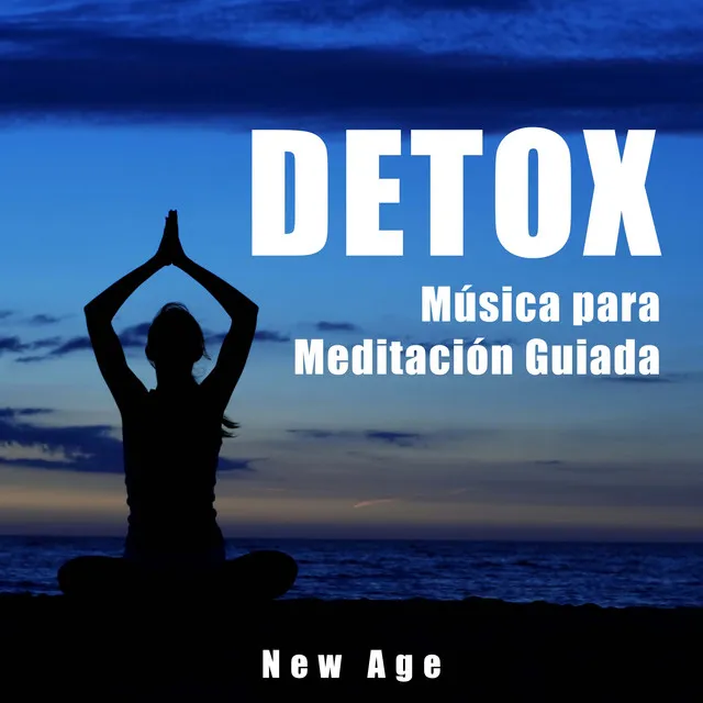 Detox - Musica para Meditacion Guiada