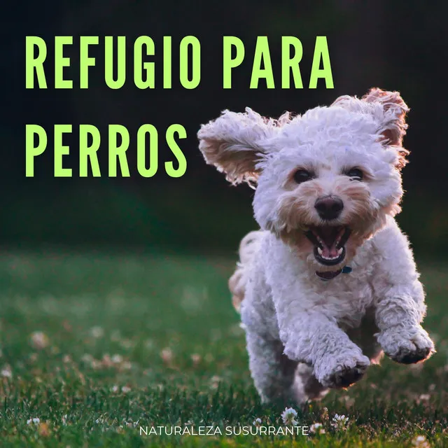 Retiro En Los Susurros De La Naturaleza Para Perros