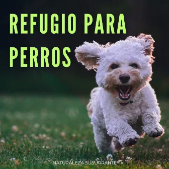 Refugio Para Perros: Naturaleza Susurrante by Colectivo de Música Perros