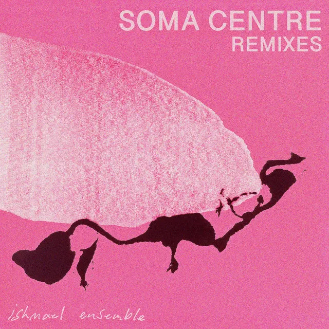 Soma Centre - Medlar Extended Club Mix