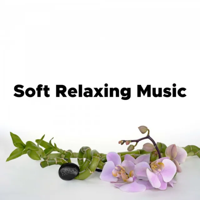 Soft Relaxing Music - Relaxation Music For Stress Relief And Healing Meditation