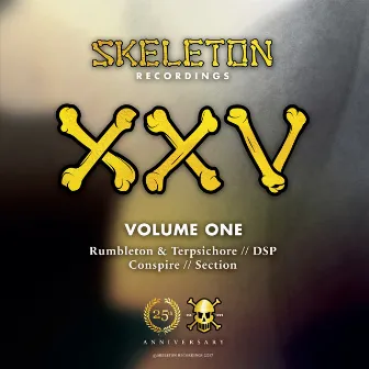 Skeleton XXV Project Volume One by DSP