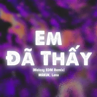 Em Đã Thấy (Melosy EDM Remix) by LANA