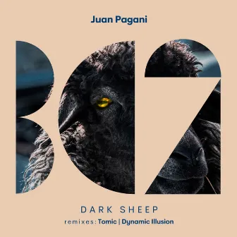 Dark Sheep by Juan Pagani