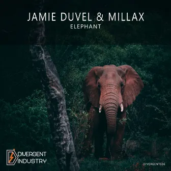 Elephant by Jamie Duvel