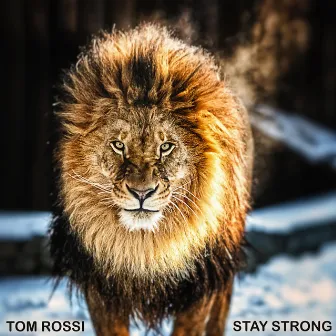 Stay Strong by Tom Rossi