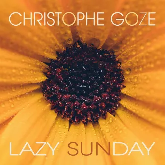 Lazy Sunday by Christophe Goze