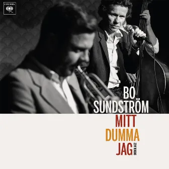 Mitt dumma jag - Svensk jazz by Bo Sundström