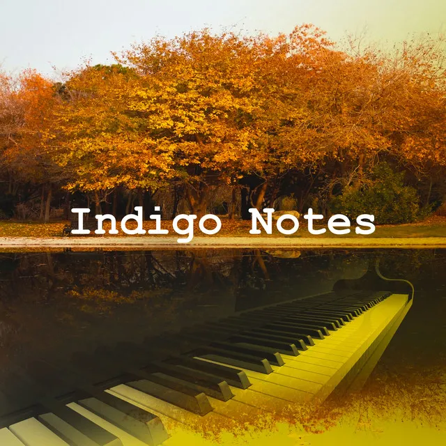 Indigo Notes