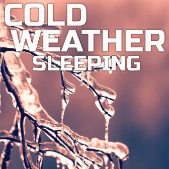 Cold Weather Sleeping by Peaceful Soundscapes