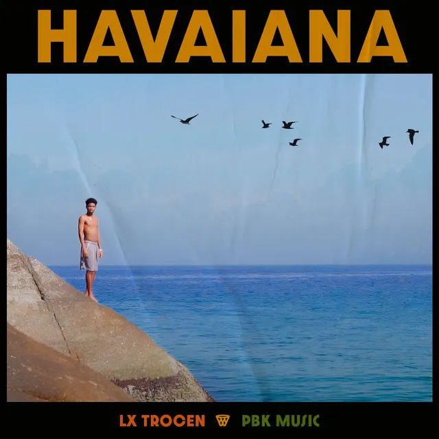 Havaiana