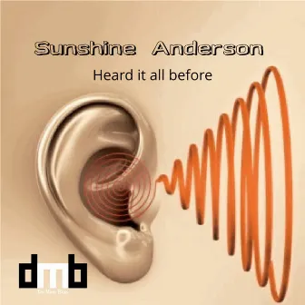 Heard it all before by Sunshine Anderson