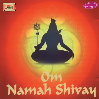 Om Namah Shivay by Rakesh Chaurasia