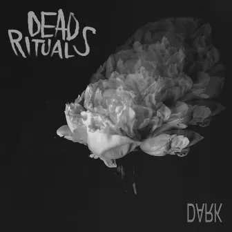 Dark by Dead Rituals