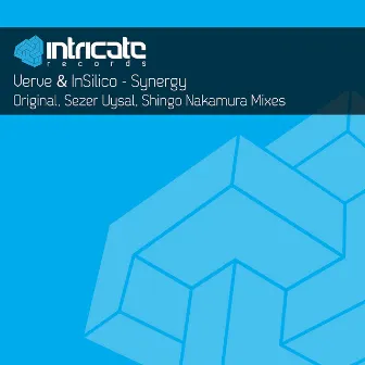 Synergy by Insilico