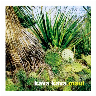 Maui (Deluxe Edition) by Kava Kava