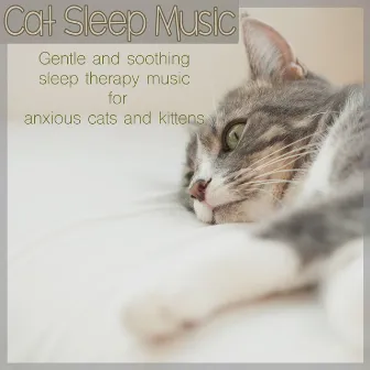 Cat Sleep Music: Gentle and Soothing Sleep Therapy Music for Anxious Cats and Kittens by Kitten Music Therapy