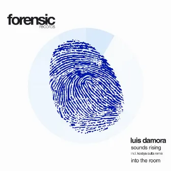 Sounds Rising / Into the Room by Luis Damora